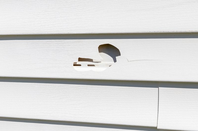 Vinyl Siding Repair - Image 15